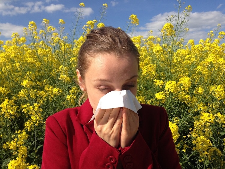 2025-01-09-Allergien