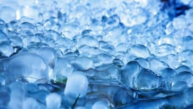 2025-02-05-Eisbad